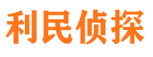 丰满市侦探公司